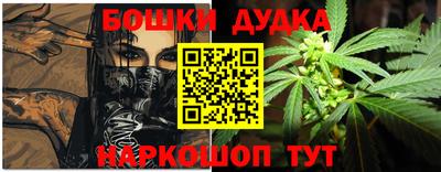 стаф Дубна