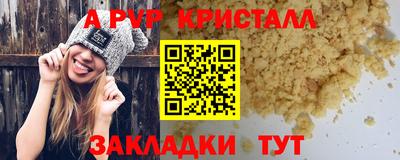стаф Дубна