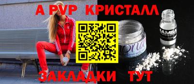 стаф Дубна