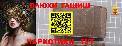 стаф Дубна