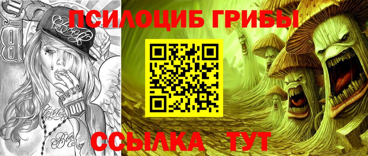 Псилоцибиновые грибы прущие грибы Орёл